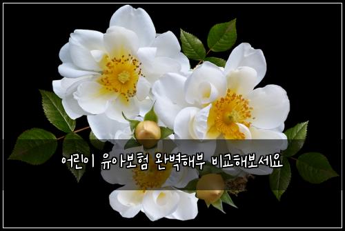 어린이 유아보험 완벽해부  비교해보세요