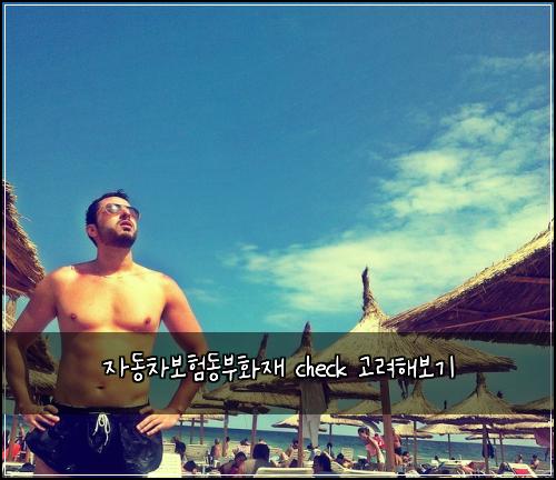 자동차보험동부화재 check 고려해보기