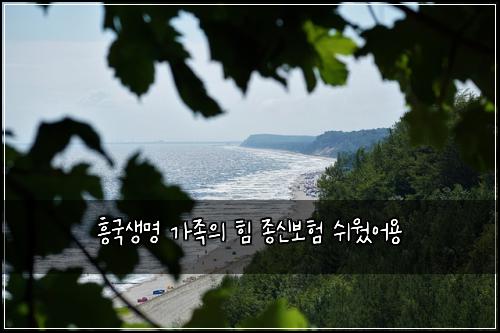 ํฅ๊ตญ์๋ช
๊ฐ์กฑ์ ํ ์ข
์ ๋ณดํ ์ฌ์ ์ด์ฉ
