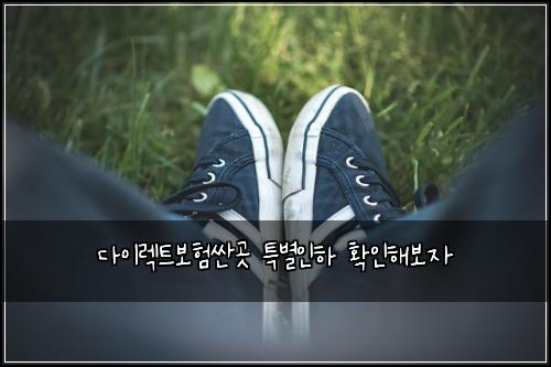 다이렉트보험싼곳 특별인하 확인해보자