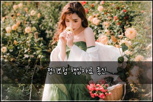정기보험 핵심자료  종신