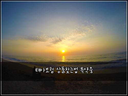 태아보험 상품찾는법  특약중