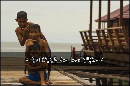 ์๋์ฐจ๋ณดํ์ข
๋ฅ for love ์ ํ๋
ธํ์ฐ