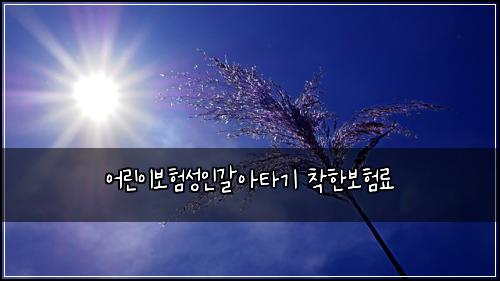 어린이보험성인갈아타기 착한보험료