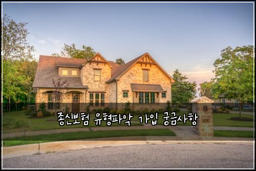 종신보험 유형파악  가입 궁금사항