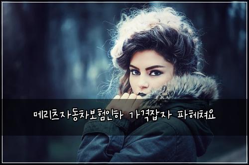 메리츠자동차보험인하 가격잡자 파헤쳐요