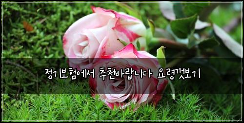 정기보험에서 추천바랍니다 요령껏보기
