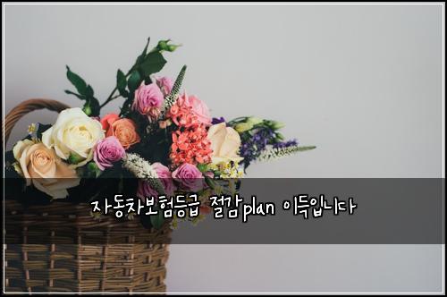 ์๋์ฐจ๋ณดํ๋ฑ๊ธ ์ ๊ฐplan ์ด๋์
๋๋ค