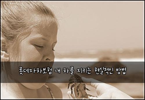 롯데자차보험 내 차를 지키는 현실적인 방법