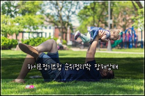 하이로정기보험 순위정리쫙  장해상태