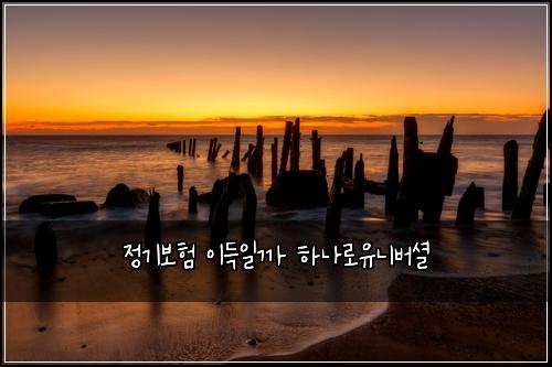정기보험 이득일까  하나로유니버셜