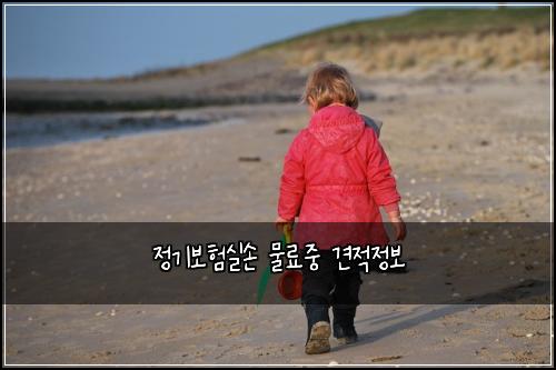 정기보험실손 물료중 견적정보