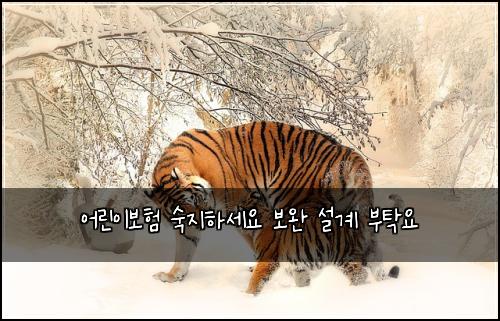 어린이보험 숙지하세요  보완 설계 부탁요
