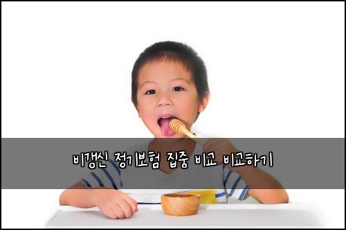 비갱신 정기보험 집중  비교 비교하기