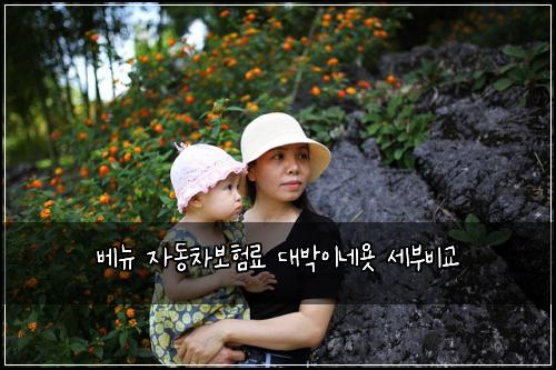베뉴 자동차보험료 대박이네욧 세부비교