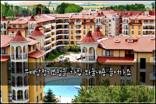 무배당정기보험을 가입 봐둘내용 들어가죠