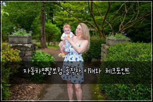 자동차면탈보험 솔직한 이해와 체크포인트