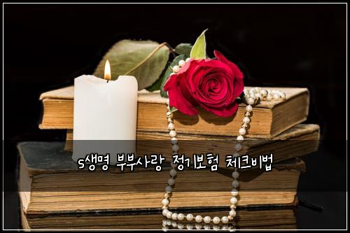 s생명 부부사랑 정기보험 체크비법 