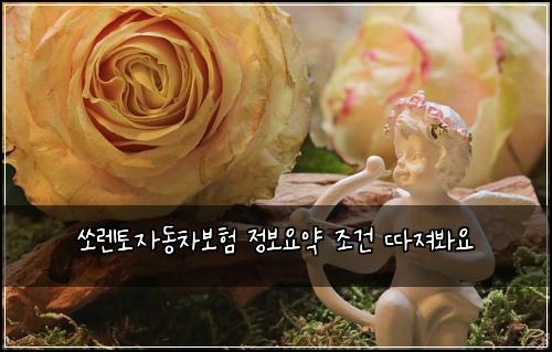 쏘렌토자동차보험 정보요약  조건 따져봐요