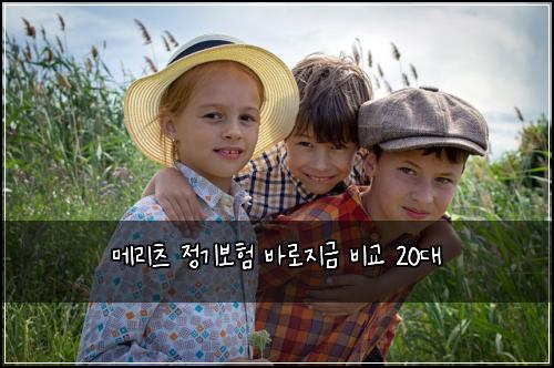 메리츠 정기보험 바로지금  비교 20대