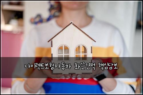 λ€μ΄λ νΈλ³΄νμλμ°¨ νλ견μ ν΅μ¬λ΄λ³΄