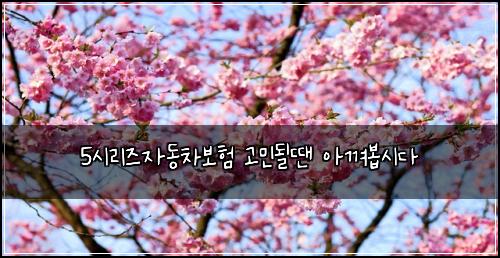 5시리즈자동차보험 고민될땐  아껴봅시다