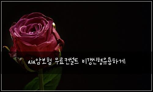aia암보험 무료컨설트  비갱신형유용하게