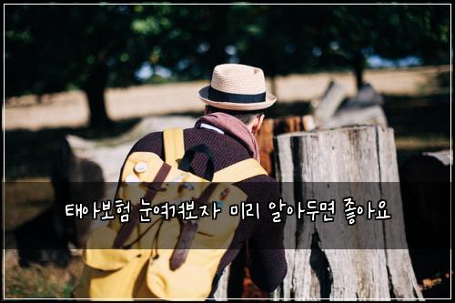 태아보험 눈여겨보자  미리 알아두면 좋아요