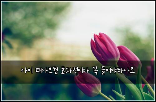 아이 태아보험 효과적이다  꼭 들어야하나요