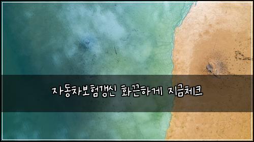 자동차보험갱신 화끈하게 지금체크