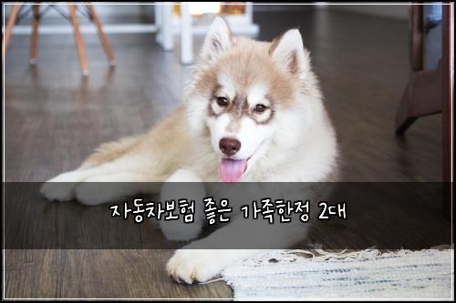 자동차보험 좋은  가족한정 2대