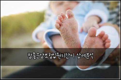 참좋은암보험입원기간이 상세분석