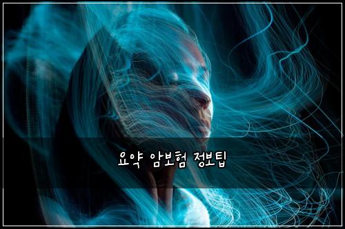 요약 암보험 정보팁 