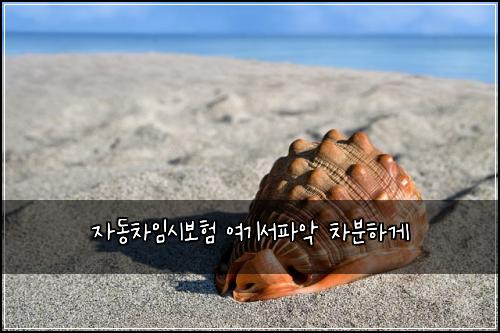 자동차임시보험 여기서파악  차분하게