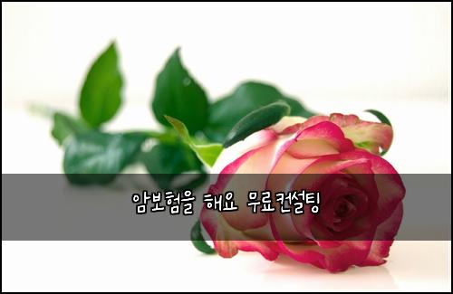 암보험을 해요 무료컨설팅
