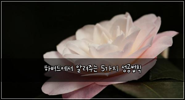 하버드에서 알려주는 5가지 성공법칙