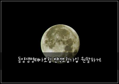 동양생명태아보험 변액보험가입 원할하게