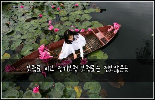 보험료 비교 정기보험 보험료는 정보많은곳