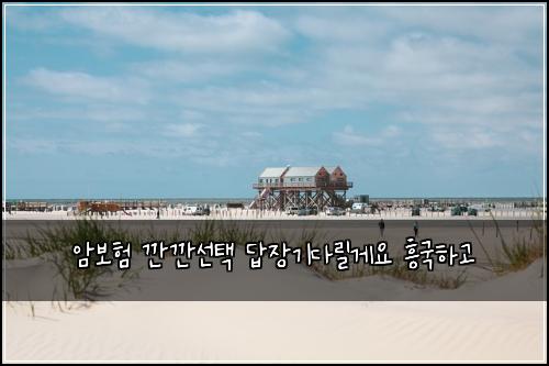암보험 깐깐선택  답장기다릴게요 흥국하고