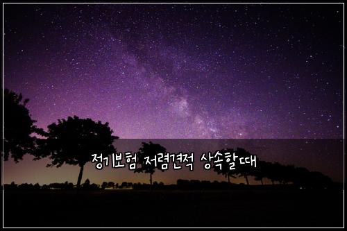 정기보험 저렴견적  상속할때