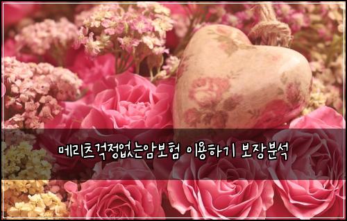 ๋ฉ๋ฆฌ์ธ ๊ฑฑ์ ์๋์๋ณดํ ์ด์ฉํ๊ธฐ ๋ณด์ฅ๋ถ์