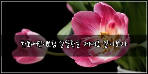 ํํ์ด๋ฆฐ์ด๋ณดํ ์๋ฐํ์ค ์ ๋๋ก ์์๋ณด์