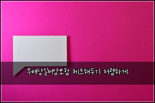 ๋ฌด๋ฐฐ๋น์ค๋ฒ์๋ณดํ ์ฒดํฌํด๋๊ธฐ ์ ๋ ดํ๊ฒ