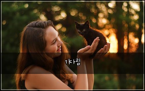기다림