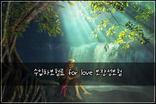 수입차보험료 for love 보장성보험