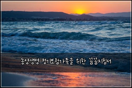 동양생명 정기보험가족을 위한 꼼꼼지침서
