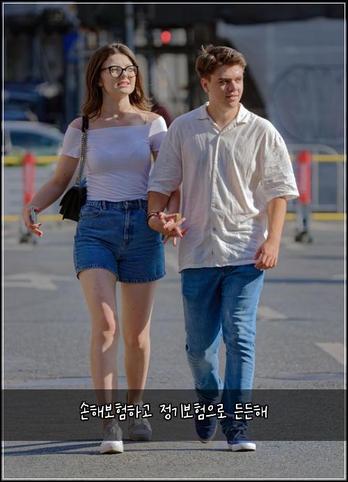 손해보험하고 정기보험으로 든든해