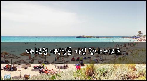 태아보험 대박상품  가입 합니다메리츠