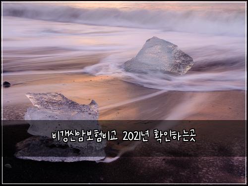비갱신암보험비교 2021년 확인하는곳