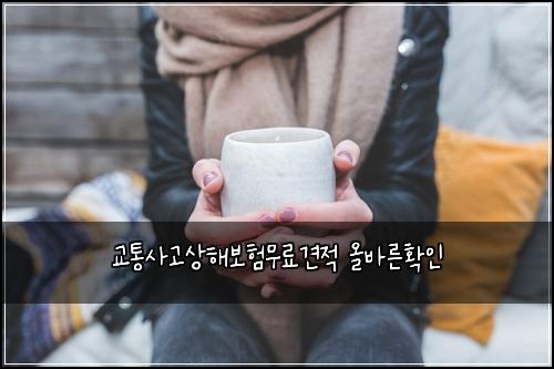 교통사고상해보험무료견적 올바른확인